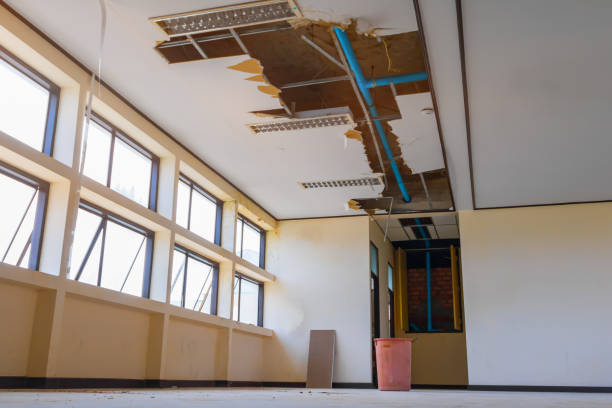 Best Water damage restoration cost  in Welcome, SC