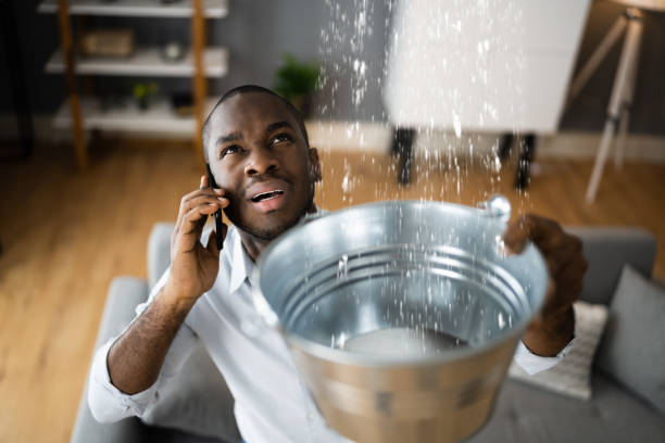 Best Water damage restoration insurance claims  in Welcome, SC