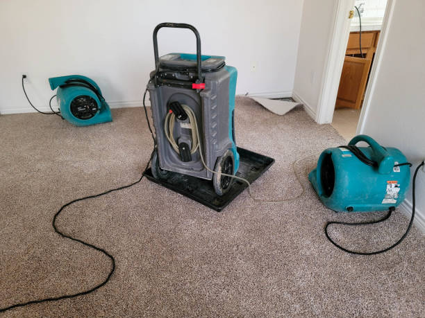 Best Local water damage restoration  in Welcome, SC