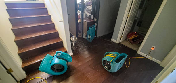Water damage restoration mold remediation in Welcome, SC