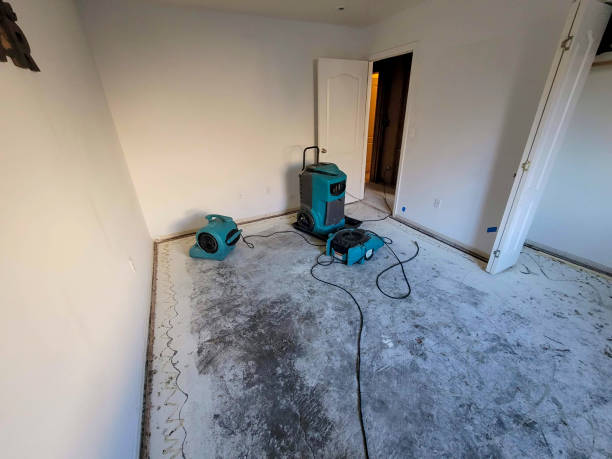 Best Water damage restoration mold remediation  in Welcome, SC