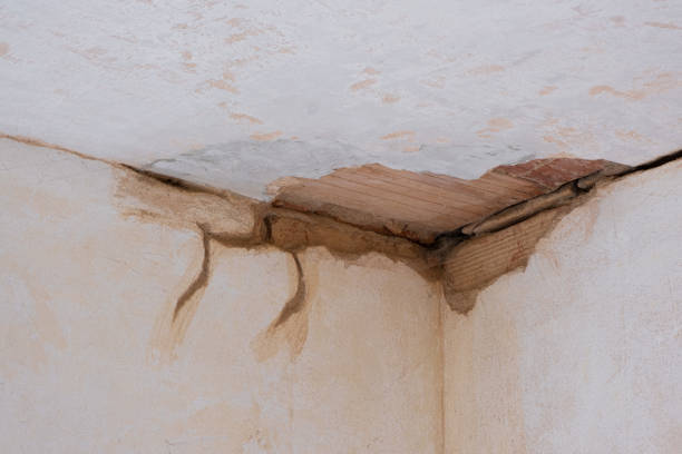 Best Water damage restoration near me  in Welcome, SC