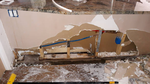 Best Sewage cleanup and water damage restoration  in Welcome, SC