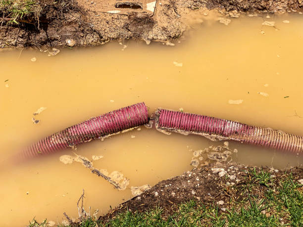 Best Emergency water damage restoration  in Welcome, SC